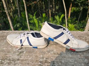 Amazon Stylish Casual White Sneakers