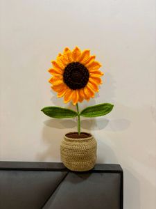 Sunflower pot