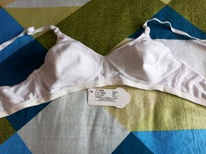 Floret T-shirt Light Padded 2 Piece Bras ( White &amp;