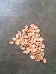 Pistachios Shells 110 Pieces