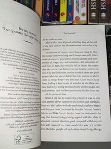 The Mortal Instruments Series