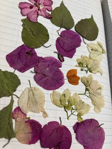 dry flowers for resin art