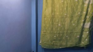 Vintage Hand-Embroidered Saree