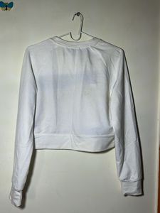 Shein Color Block Cropped Sweatshirt