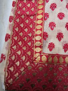 Beautiful Net Sharee