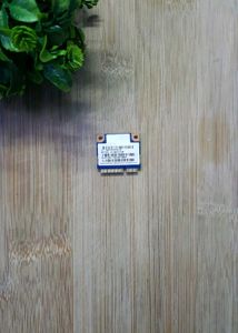 RALINK 2.4gz Wifi Module for Laptops (in working c