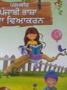 Punjabi Grammar Book