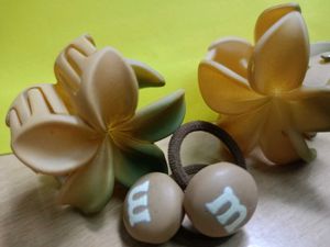 Claw Clip And Rubber Band