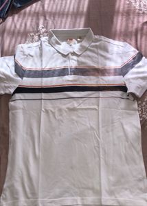 Multi Colour Everyday Wear T-shirt