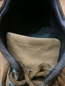 Woodland Sports Shoes