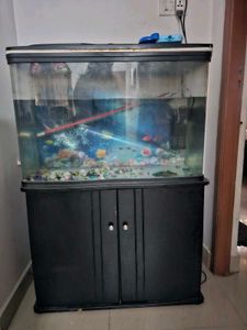 Fish Tank with Cabinet