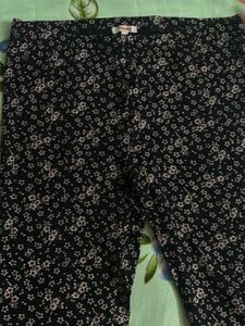 Honey Brand Leggings