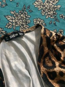 Leopard Print Mini Dress