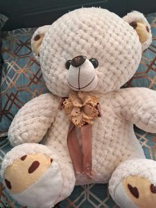 Cute Plush Teddy Bear