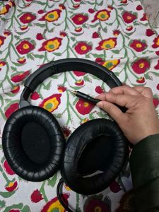 Sennheiser Headphones @ 50% Off