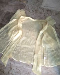 party wear Organza lemon Top