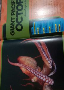 National Geographic Kids Animal Book