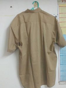 Tan Short Sleeve Button-Down