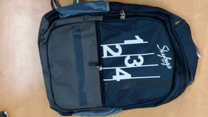 Skybags Backpack