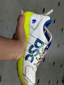 Used Beamer Sports Shoes