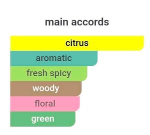 Issey Miyake L'Eau d'Issey Deodorant