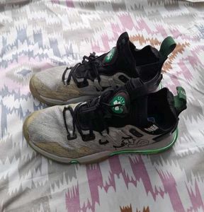 Adult Basketball Shoes Boston Celetics