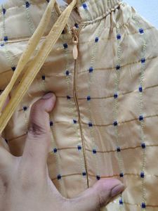 Elegant Ethnic Skirt