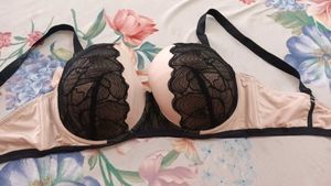 Padded Branded Bra 40E