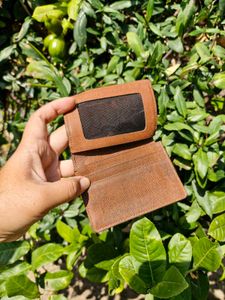 Louis Vuitton Card Holder