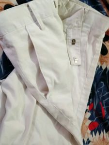 Beige Dress Pants