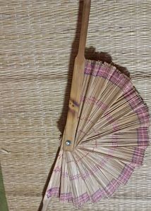 Vintage Fan ~ Collectible