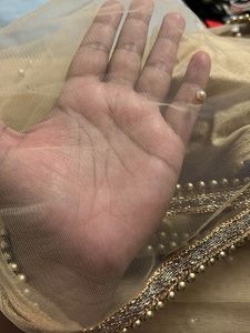 Elegant Net Saree