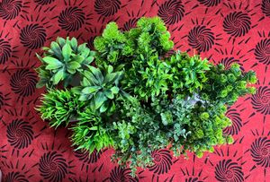 artificial plants