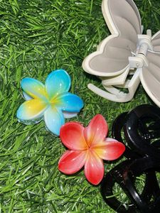 Hair Clip  ( SET OF 5)