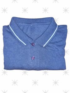 Striped Polo Shirt - Blue