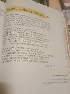 Text book In English