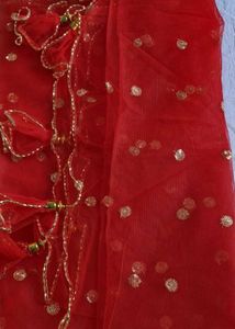 Red &amp; Gold Decorative Dupatta