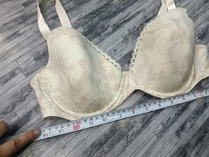 36,38dd Size Calvin 💚