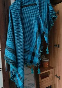 Blue Checked Scarf