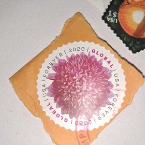 Rare set of Special shaped Stamps