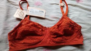Zivame Women Double Layered Bra