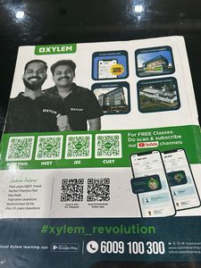 Plus Two Botany Xylem Study Material
