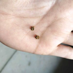 22k Pure Gold Earrings Pair