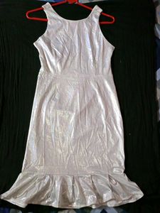 It's A Very Beautiful Silver Shiny Short Dress