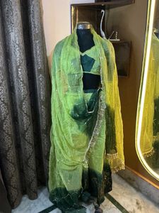 poshak set Green Lehenga Choli
