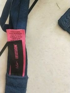 36C Bra (La senza)