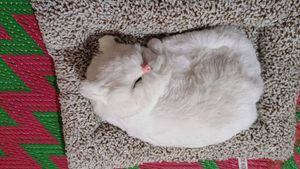 Sleeping Cat Plush Toy with Press Simulation Sound