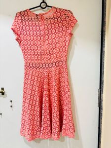 Coral Lace Fit &amp; Flare Dress