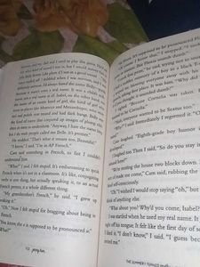 The Summer I Turned Pretty