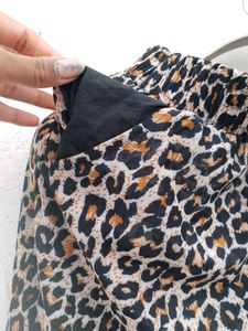 Leopard Print Prin Short.
